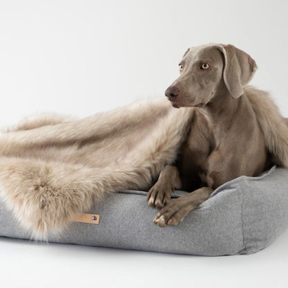Labbvenn MØVIK Dog Bed