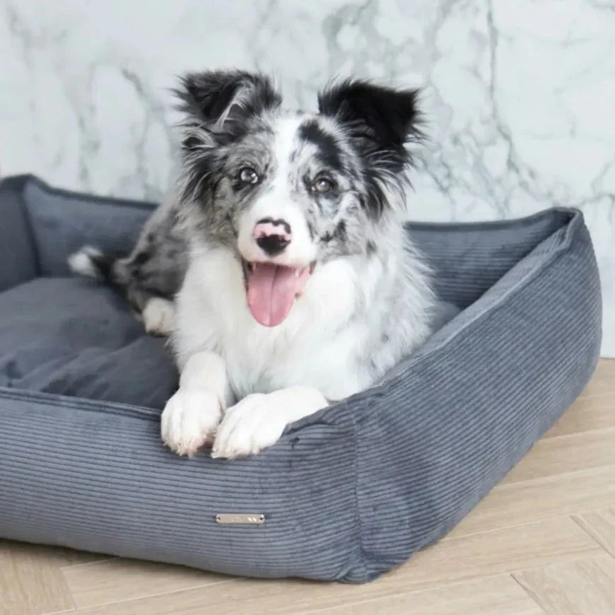 Labbvenn STRIPPO Dog Bed