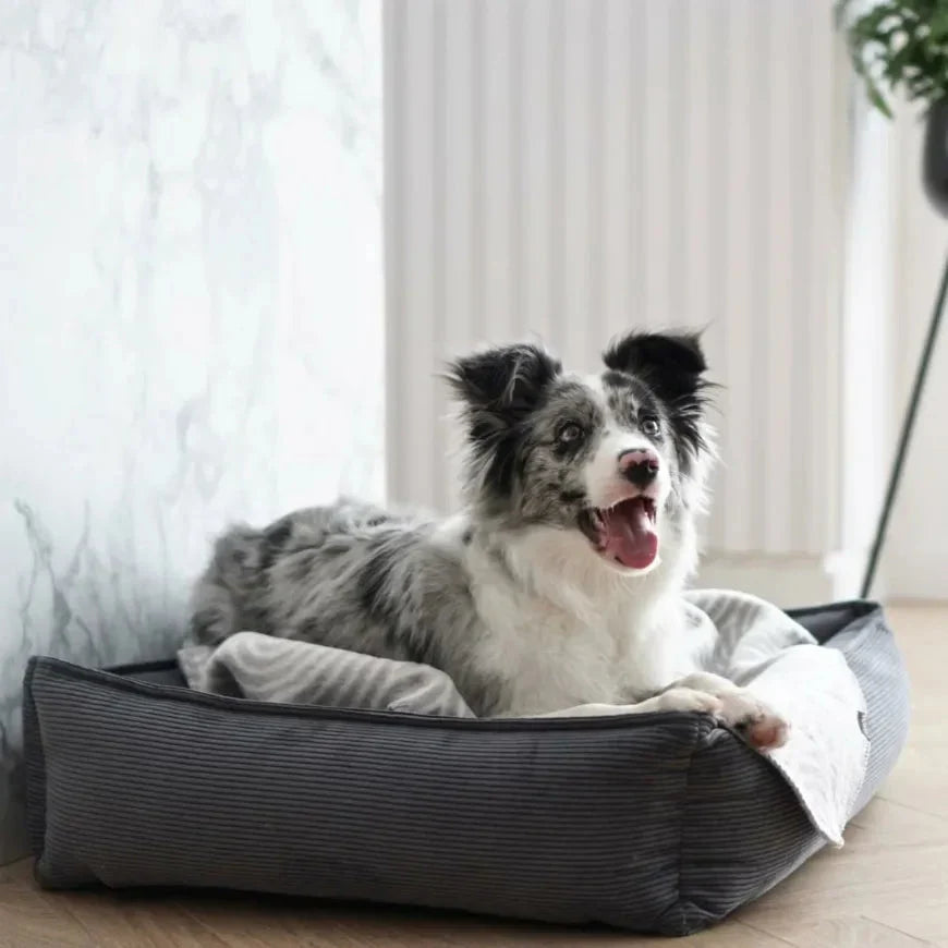 Labbvenn STRIPPO Dog Bed