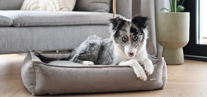 Labbvenn STRIPPO Dog Bed