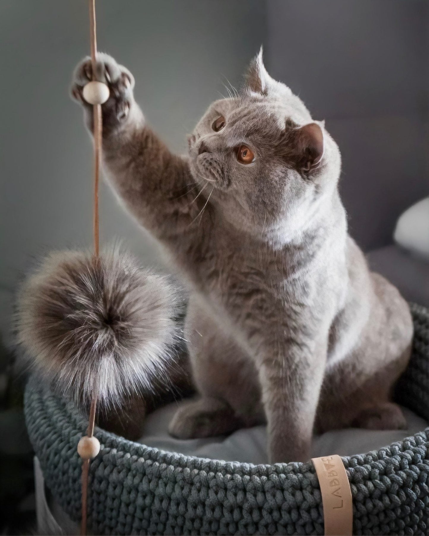 Labbvenn TOLLO Cat Toy