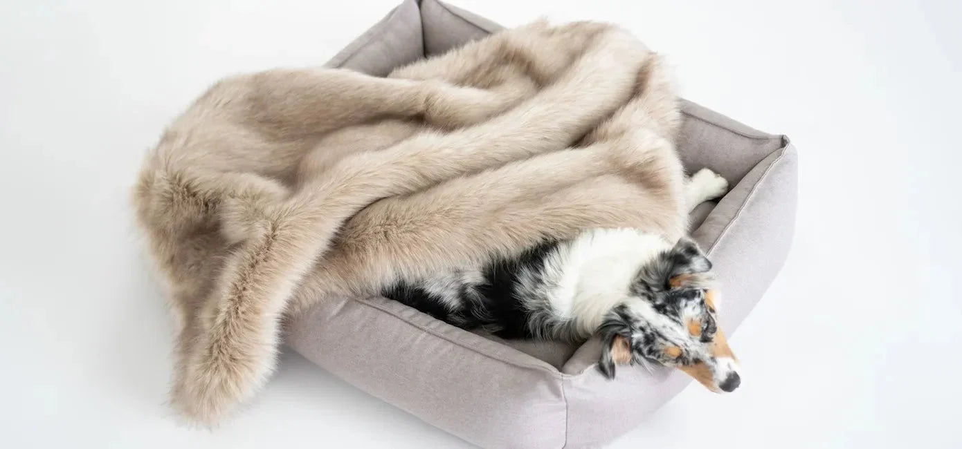 Labbvenn TÖSSE Dog Blanket