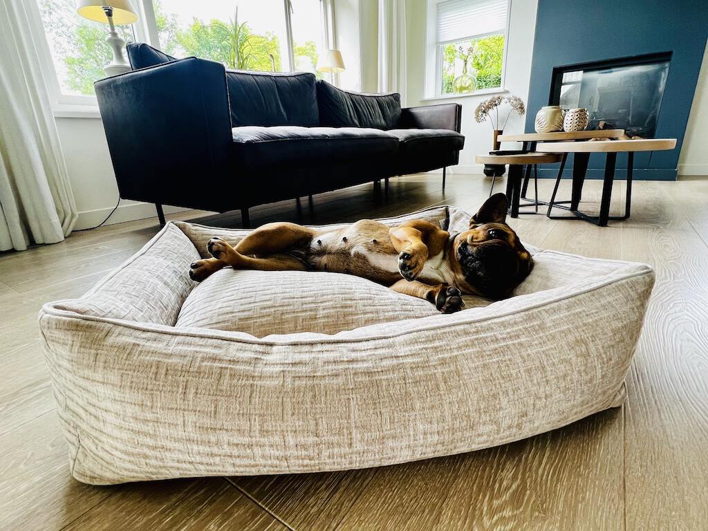 Laboni Orthopaedic Dog Bed Nova