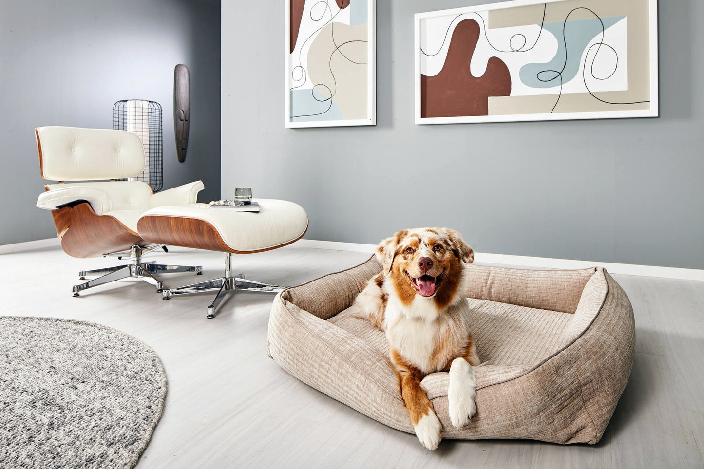 Laboni Orthopaedic Dog Bed Nova