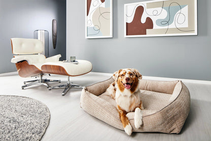 Laboni Orthopaedic Dog Bed Nova