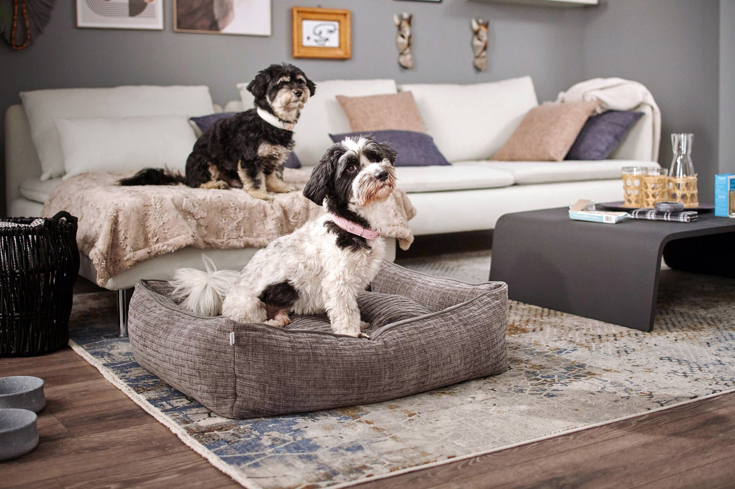 Laboni Orthopaedic Dog Bed Nova