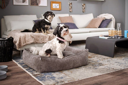 Laboni Orthopaedic Dog Bed Nova