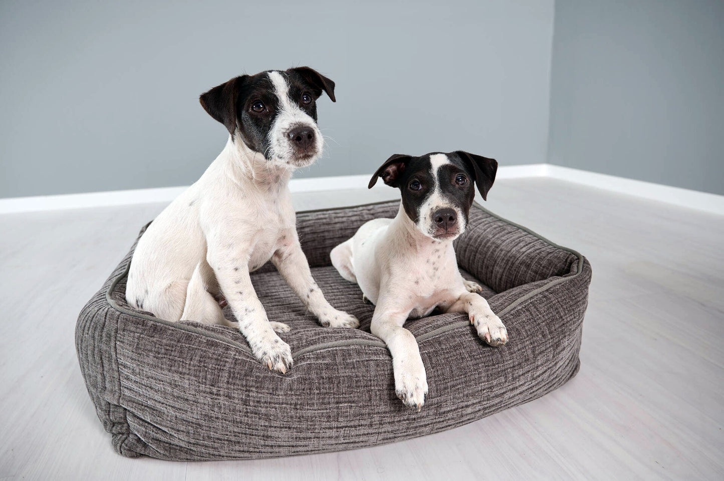 Laboni Orthopaedic Dog Bed Nova