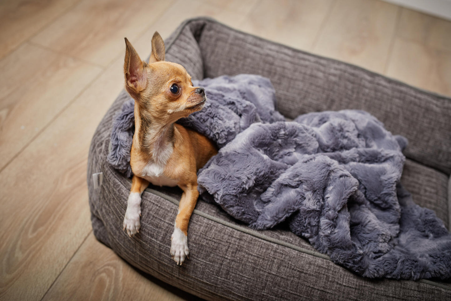 Laboni Orthopaedic Dog Bed Nova