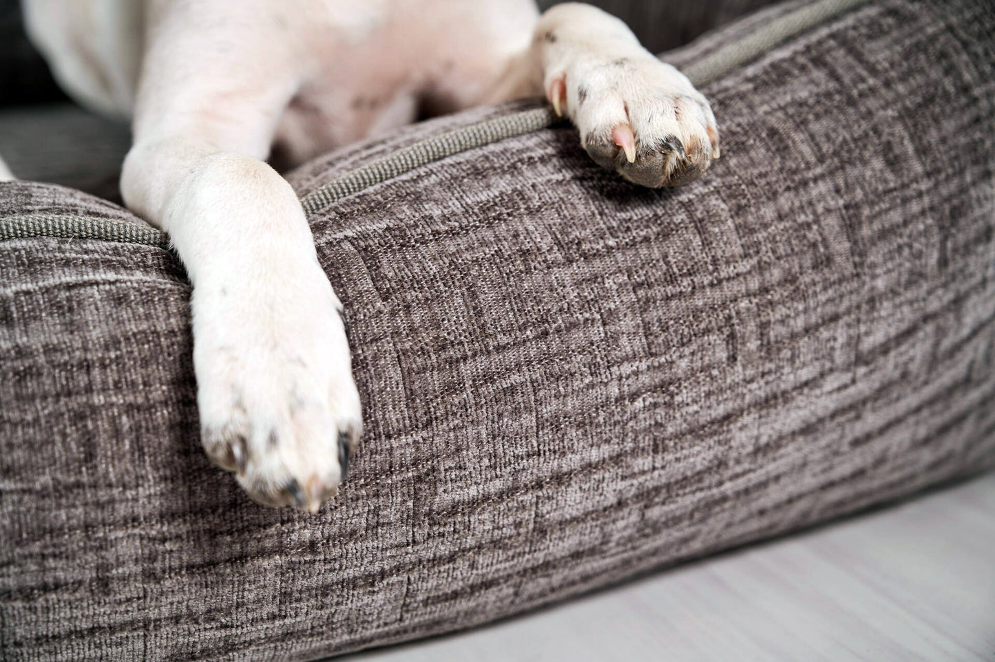 Laboni Orthopaedic Dog Bed Nova