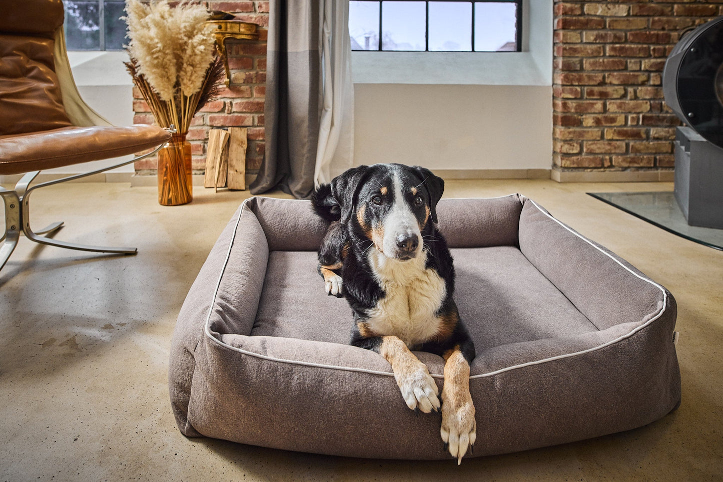Laboni Orthopaedic Dog Bed Teddy