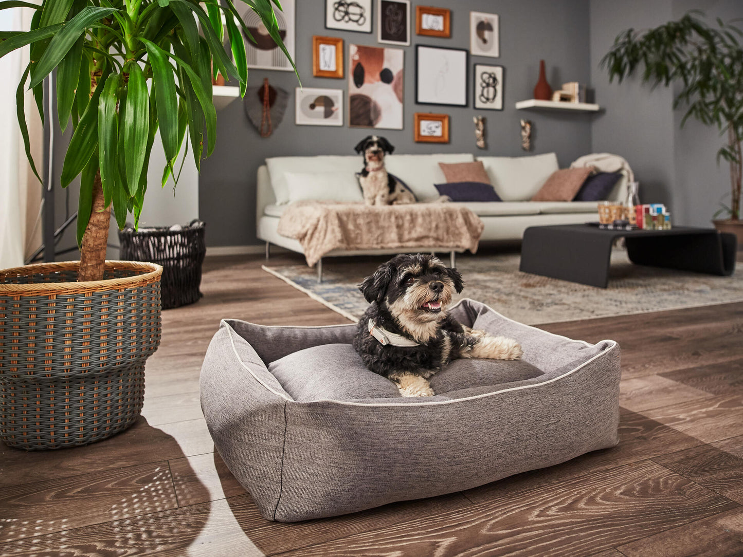 Laboni Orthopaedic Dog Bed Uno
