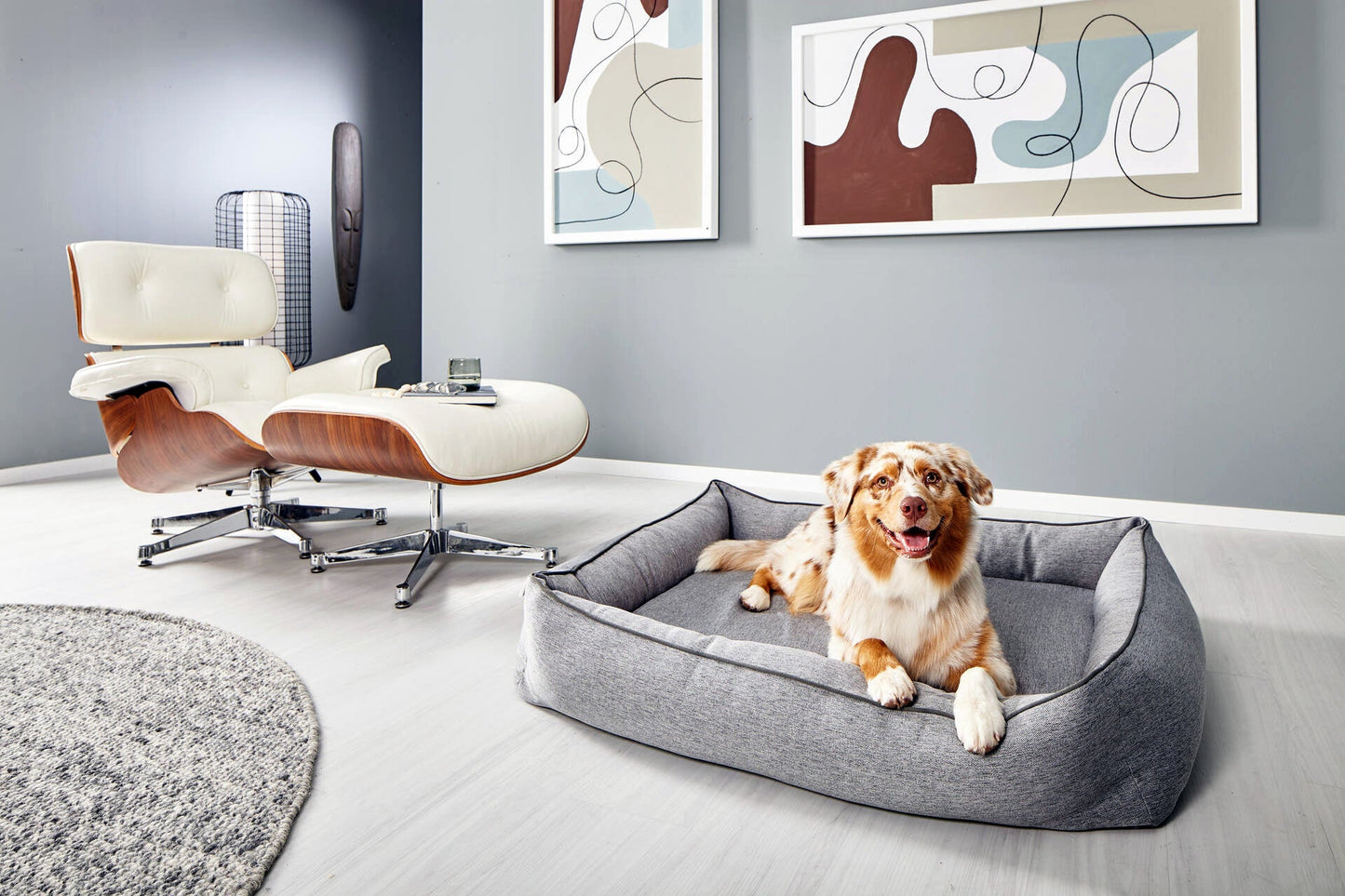 Laboni Orthopaedic Dog Bed Uno