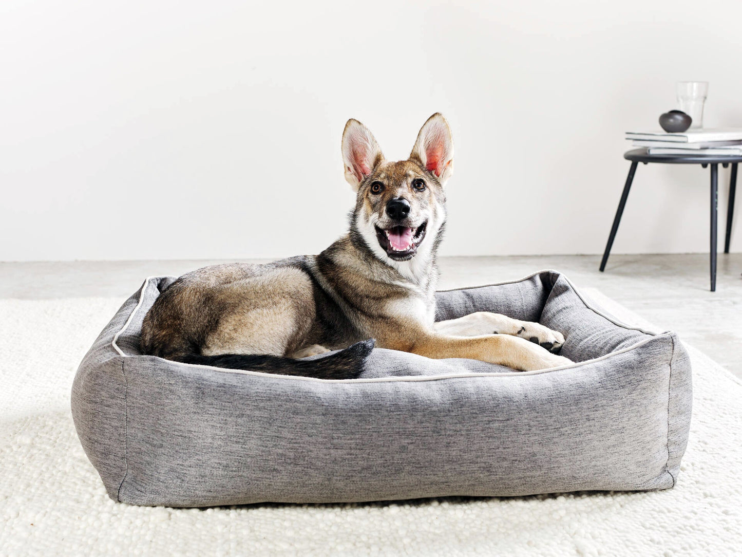 Laboni Orthopaedic Dog Bed Uno