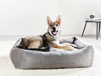 Laboni Orthopaedic Dog Bed Uno