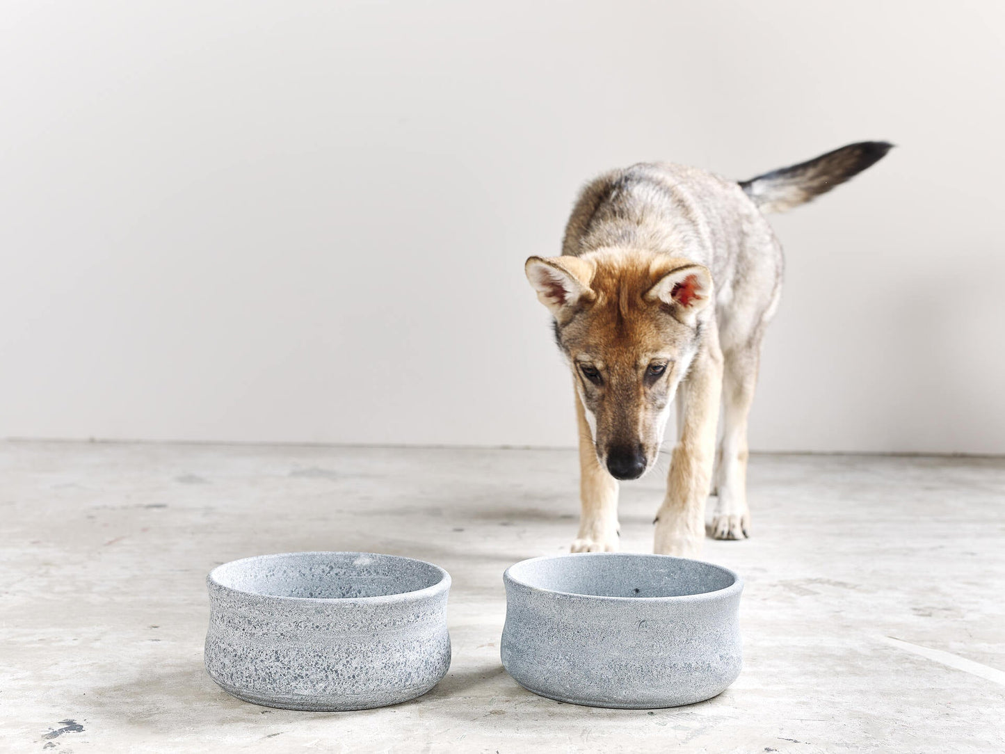 Laboni Soapstone Dog & Cat Bowl Rocky