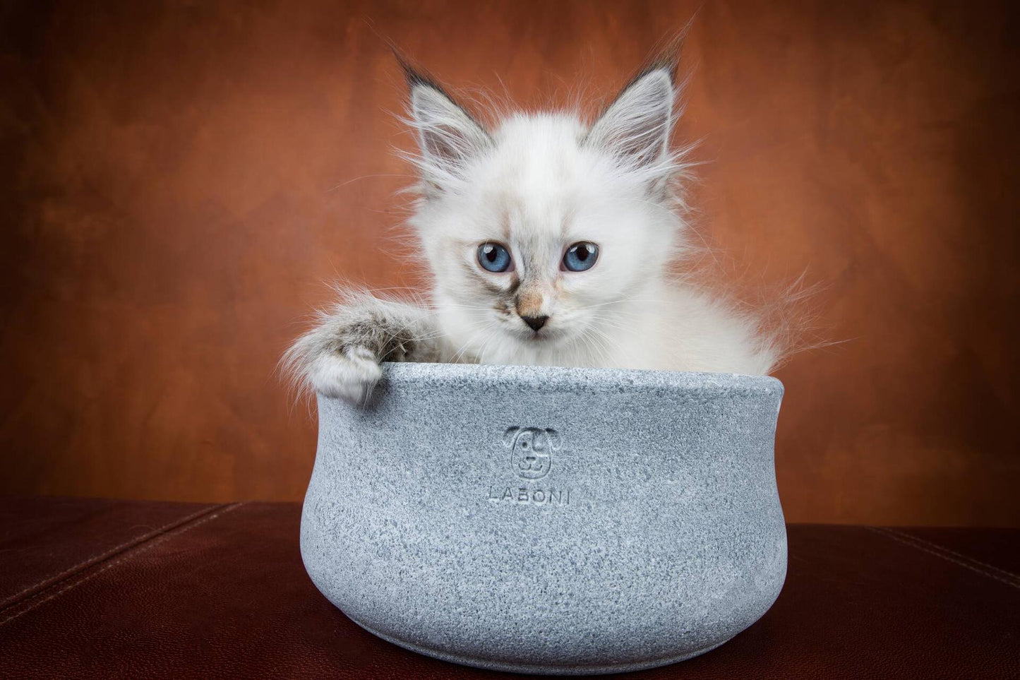 Laboni Soapstone Dog & Cat Bowl Rocky