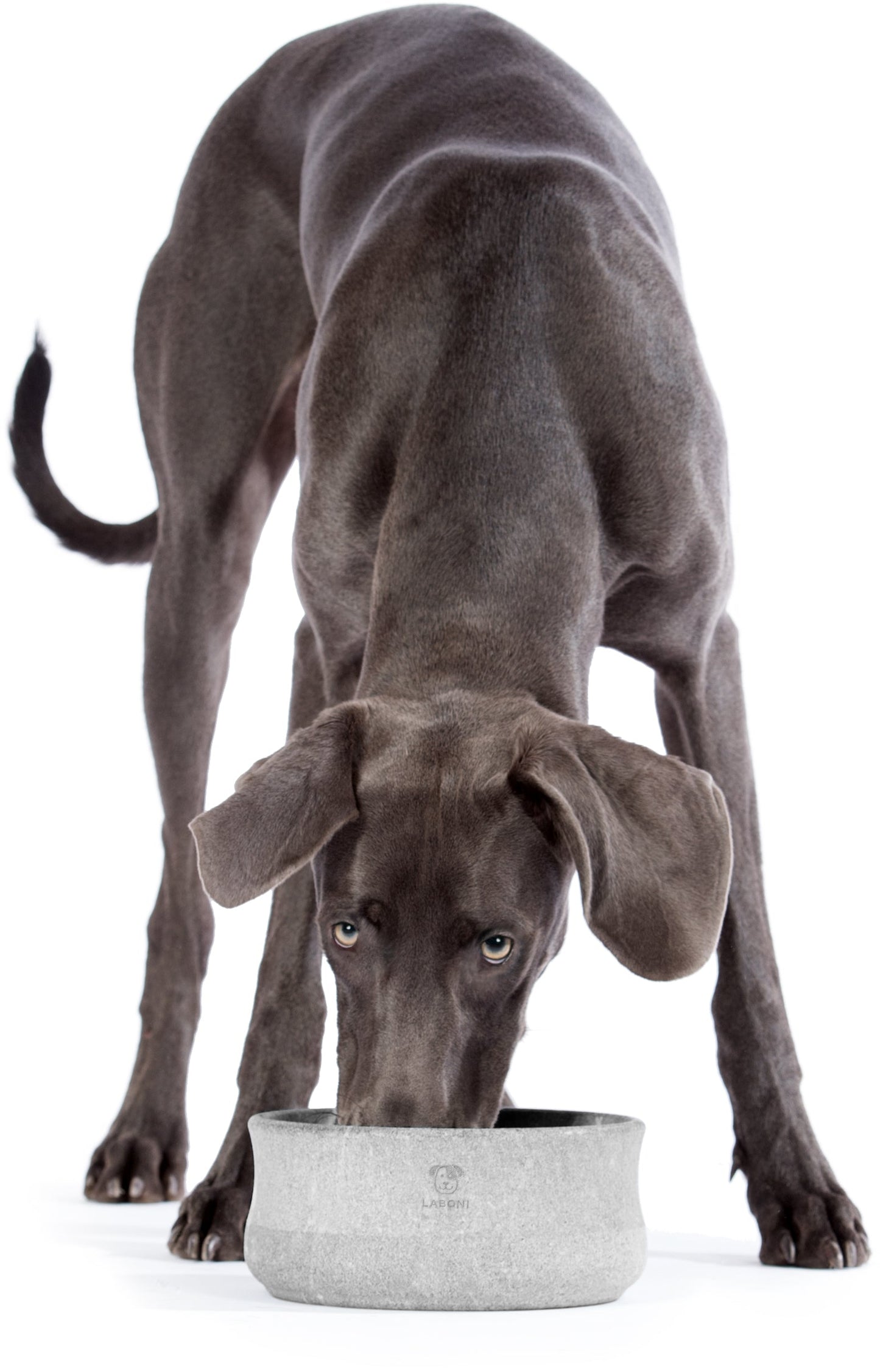Laboni Soapstone Dog & Cat Bowl Rocky