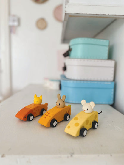 Animal Friends Racing cars
