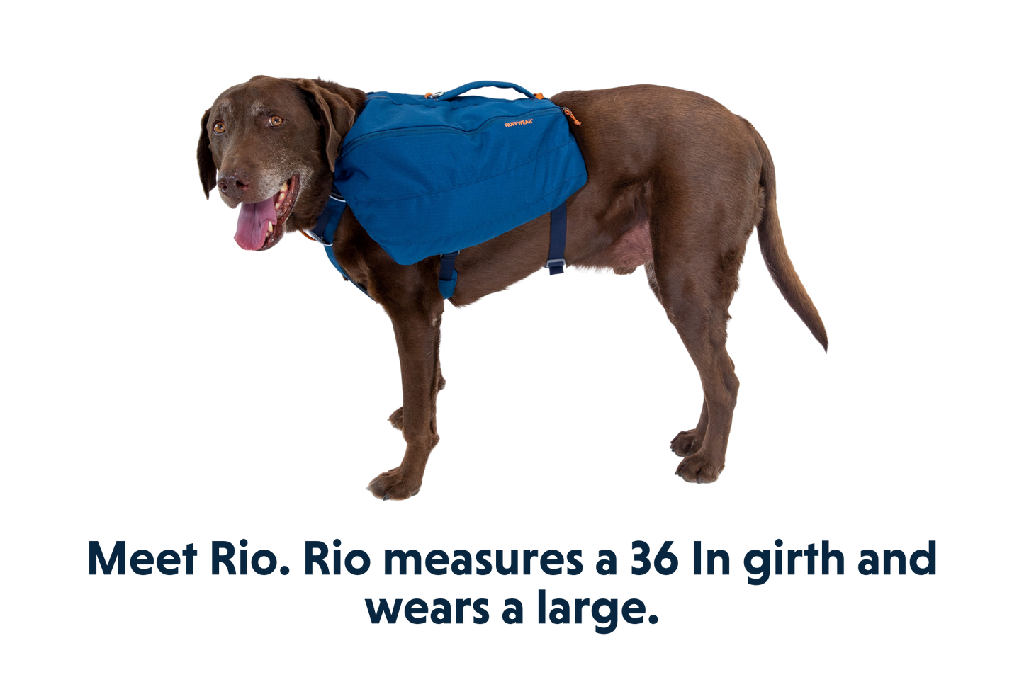 Front Range™ Day Pack