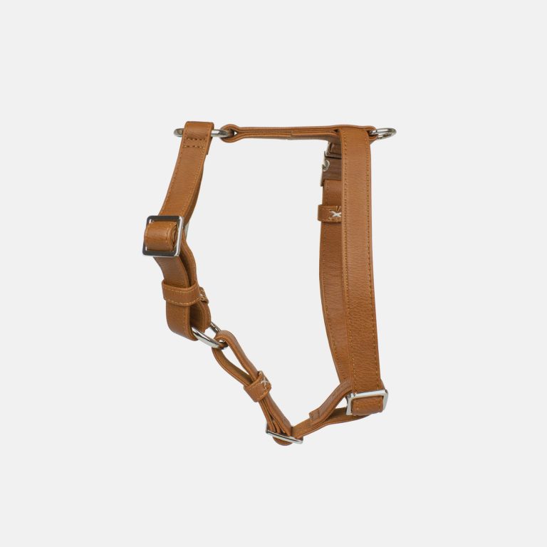 Neula Confidence Vegan Leather Dog Harness Walk Set