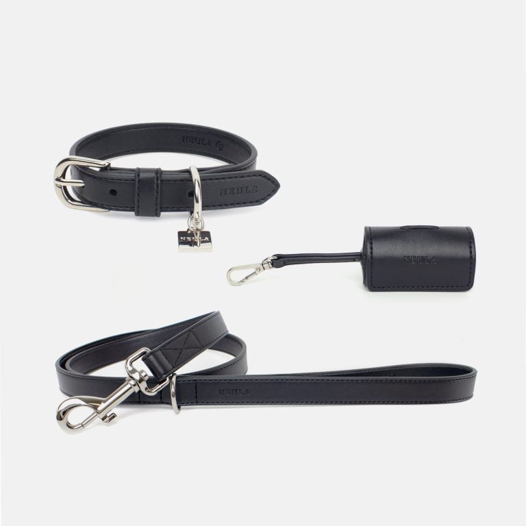 Neula Courage Vegan Leather Dog Collar Walk Set