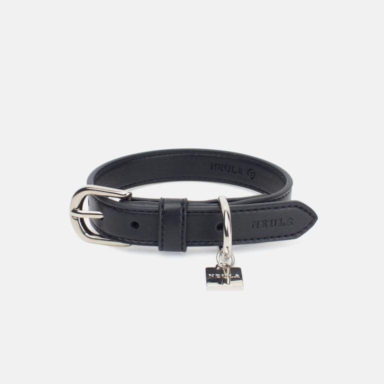 Neula Courage Vegan Leather Dog Collar Walk Set