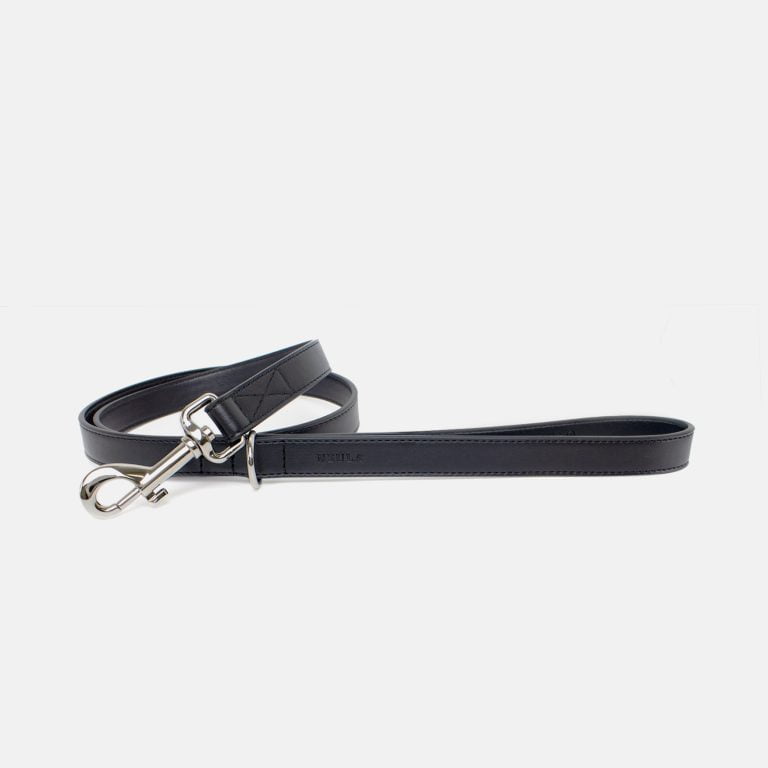 Neula Courage Vegan Leather Dog Harness Walk Set