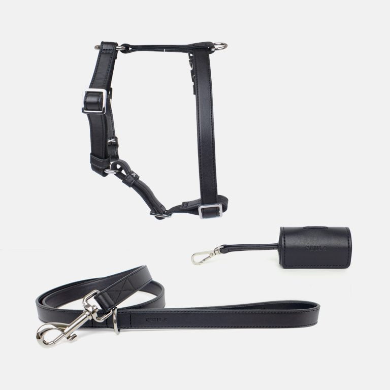 Neula Courage Vegan Leather Dog Harness Walk Set