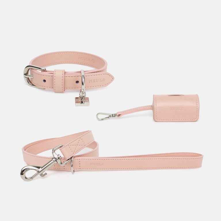 Neula Kindness Vegan Leather Dog Collar Walk Set