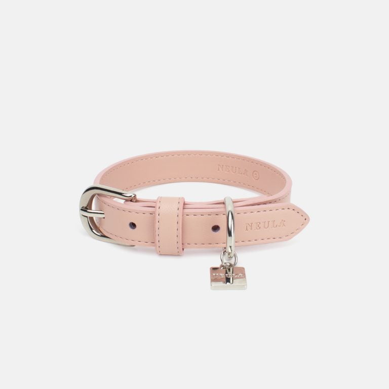 Neula Kindness Vegan Leather Dog Collar Walk Set
