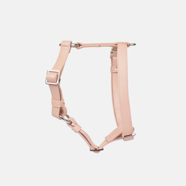 Neula Kindness Vegan Leather Dog Harness Walk Set