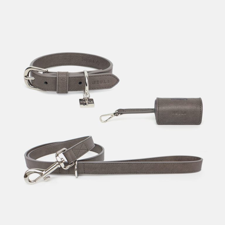 Neula Strength Vegan Leather Dog Collar Walk Set
