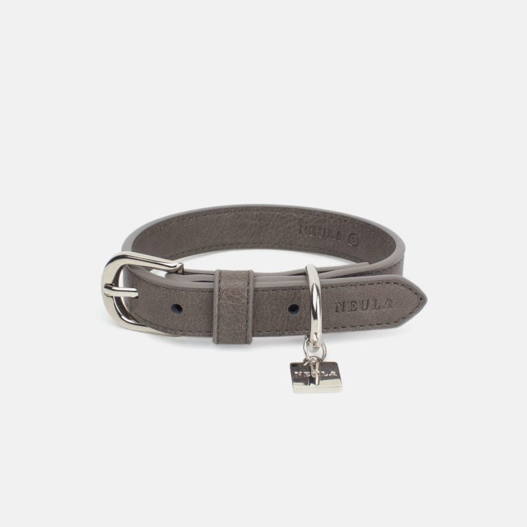 Neula Strength Vegan Leather Dog Collar Walk Set