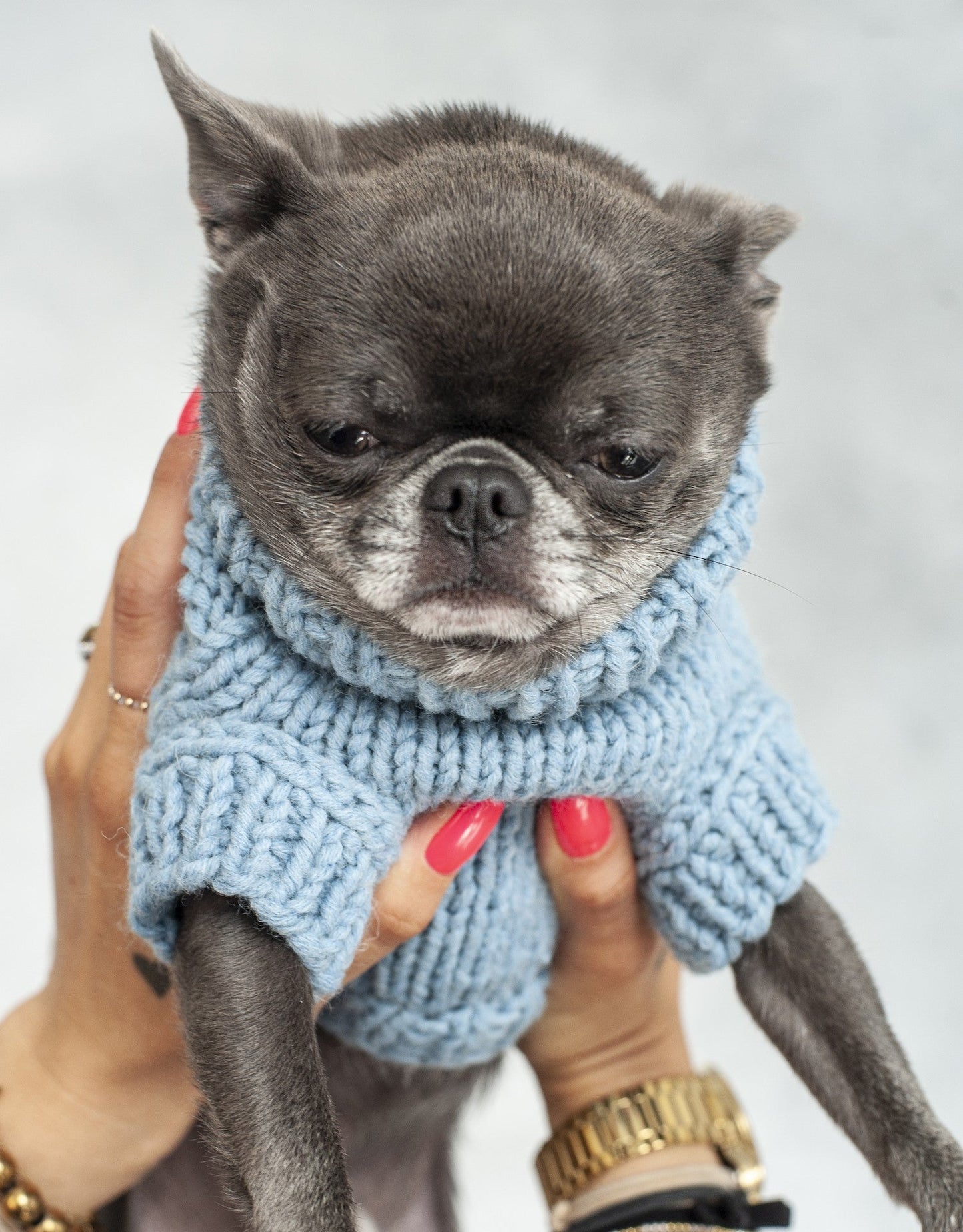 Oh Charlie BeBe’s Dog Sweater