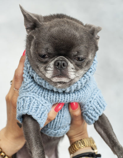 Oh Charlie BeBe’s Dog Sweater