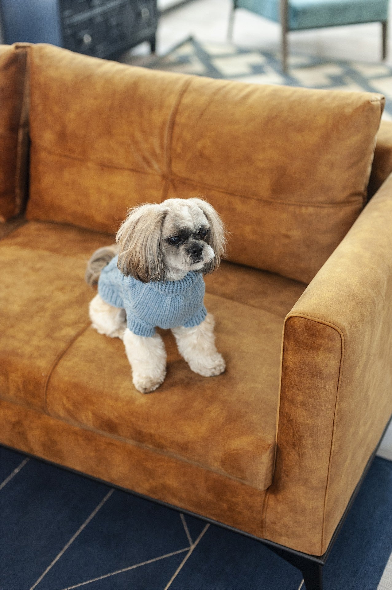 Oh Charlie BeBe’s Dog Sweater