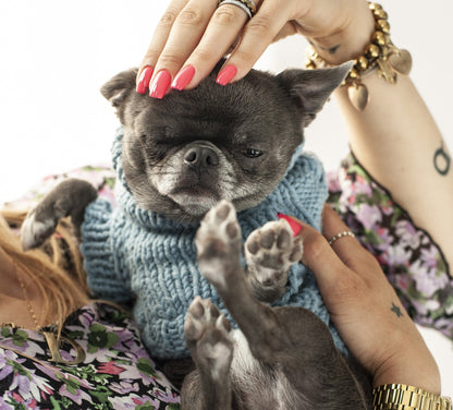 Oh Charlie BeBe’s Dog Sweater