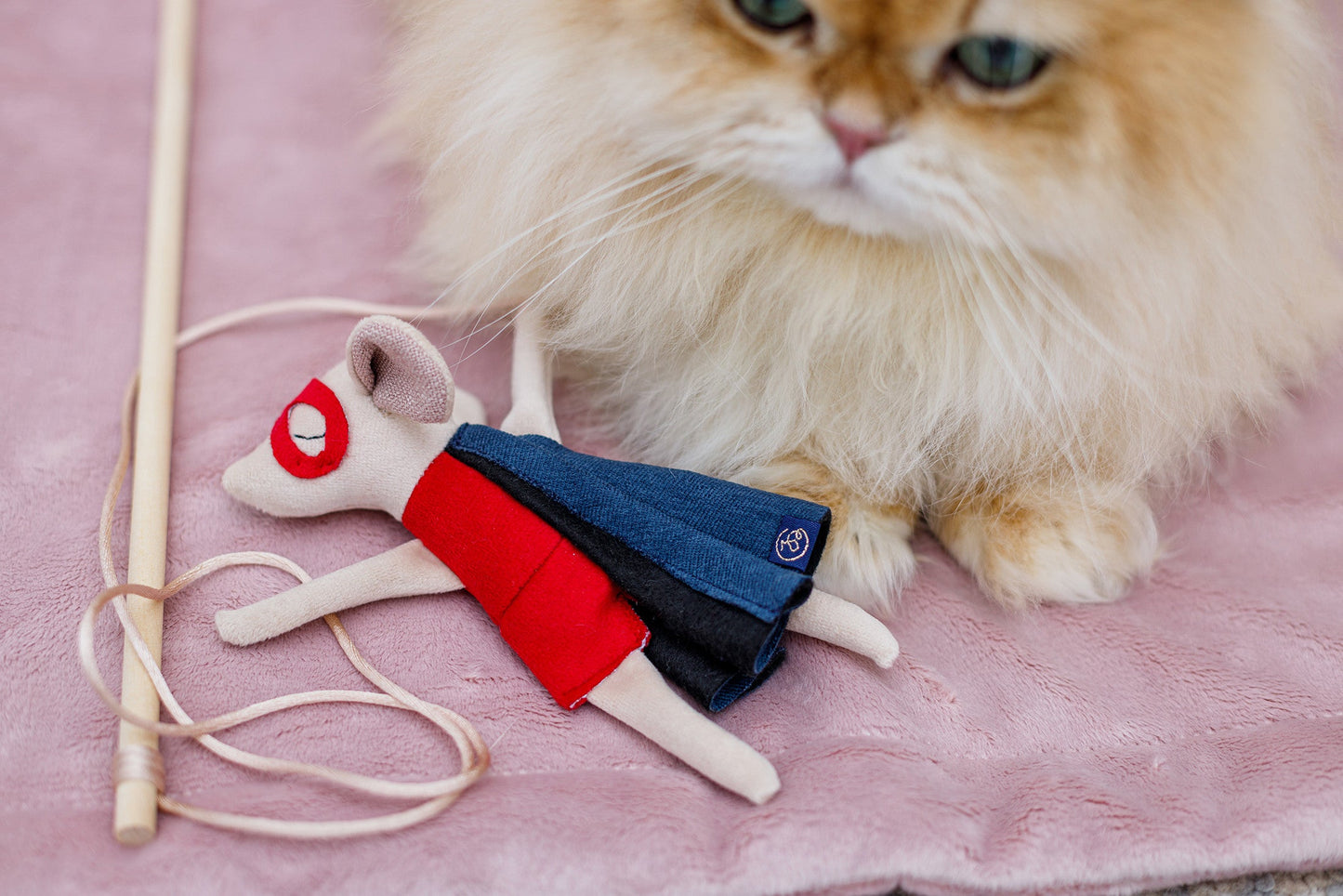 Oh Charlie Cat Toy