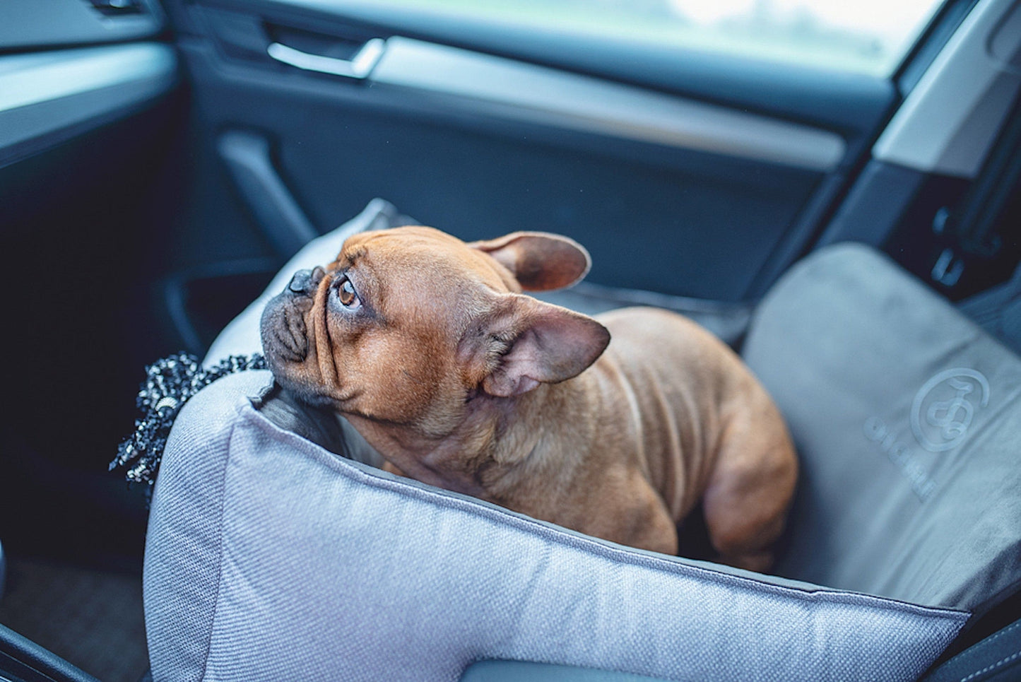 Oh Charlie Dog Car Seat Bed Elite