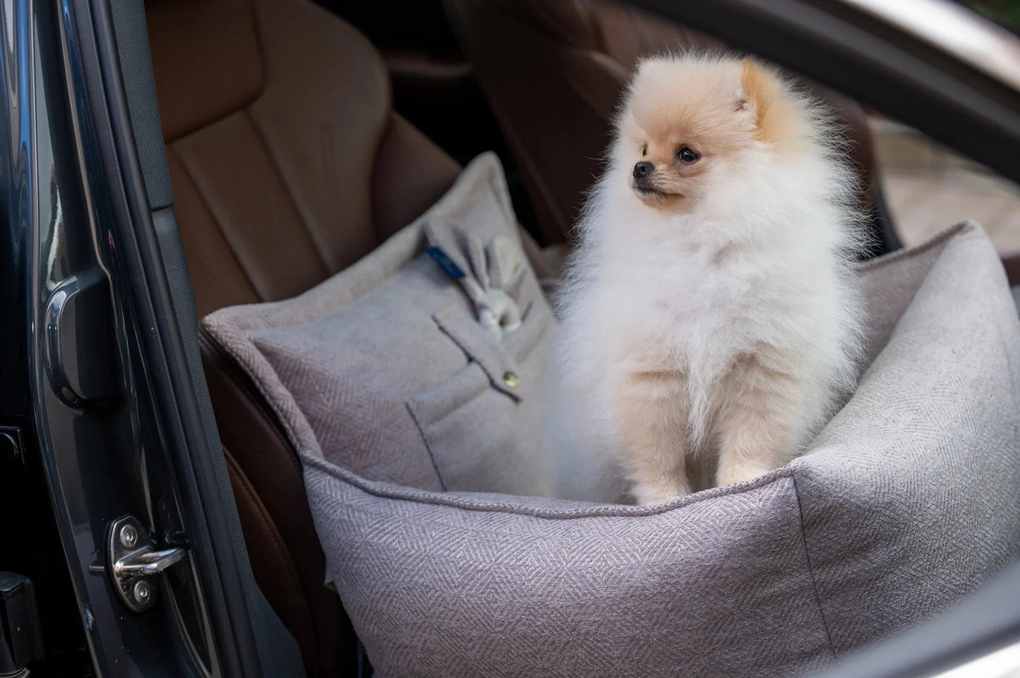 Oh Charlie Dog Car Seat Bed Florence