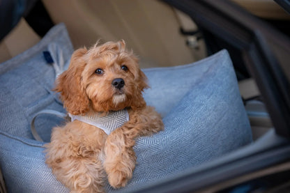 Oh Charlie Dog Car Seat Bed Florence