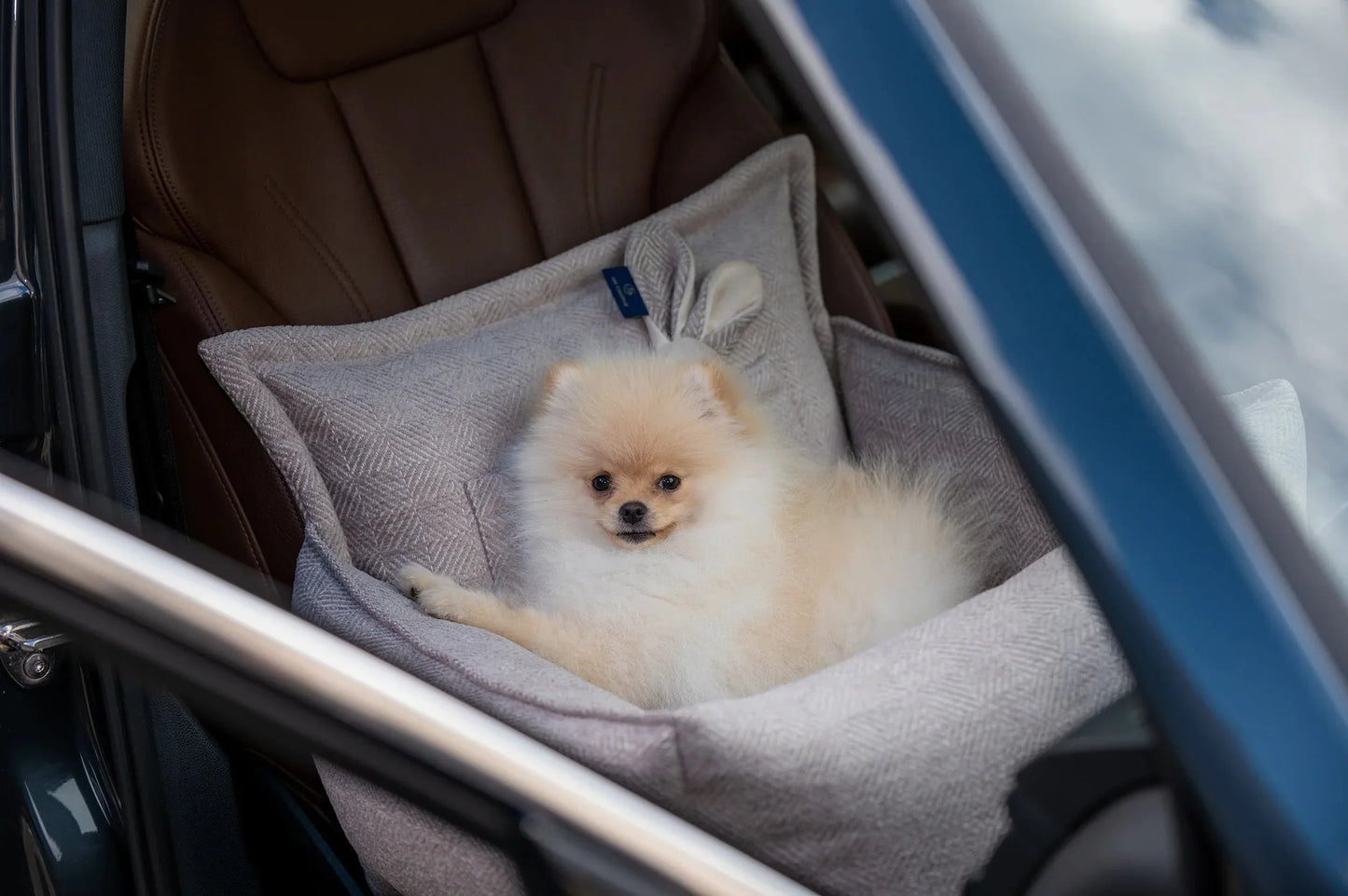 Oh Charlie Dog Car Seat Bed Florence