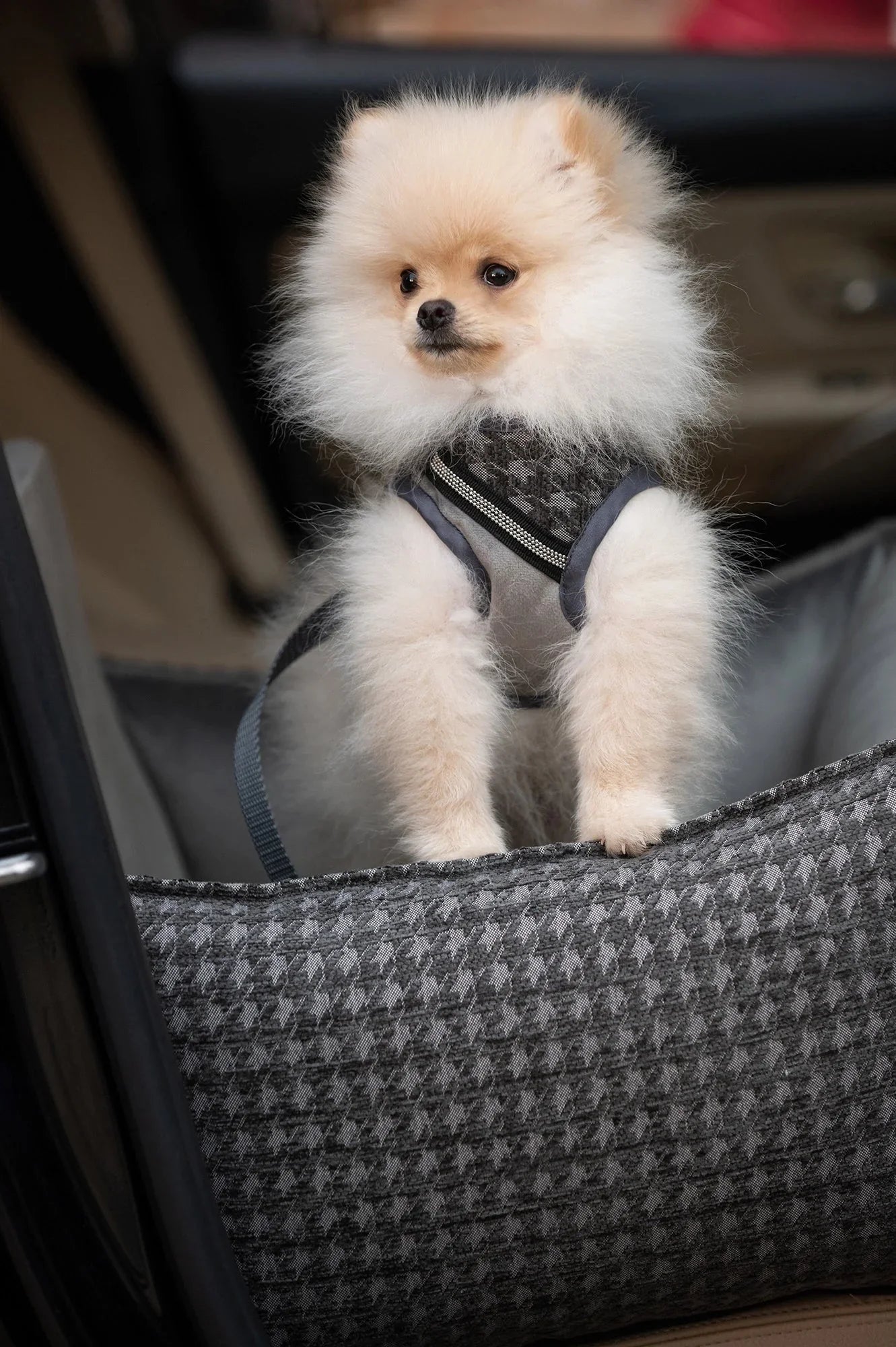 Oh Charlie Dog Car Seat Bed Prestige