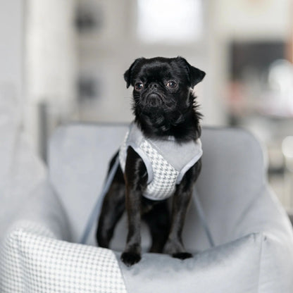 Oh Charlie Dog Car Seat Modern Finessa