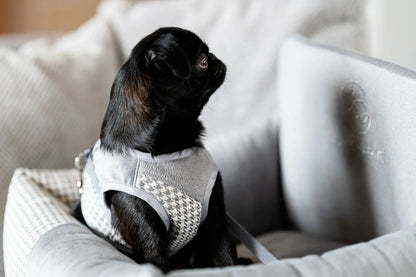 Oh Charlie Dog Car Seat Modern Finessa