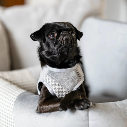 Oh Charlie Dog Car Seat Modern Finessa