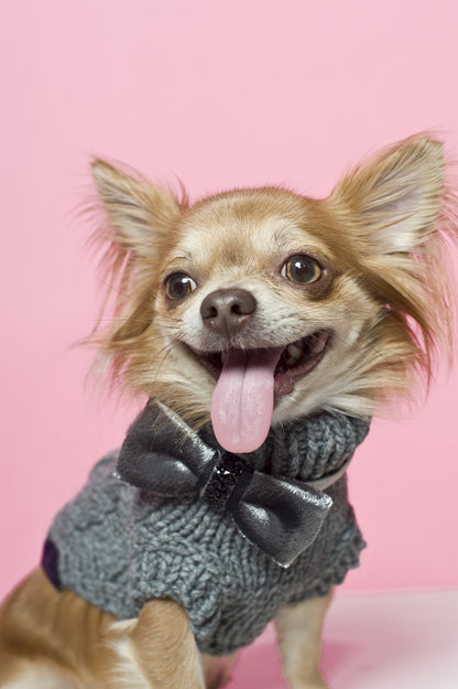 Oh Charlie Dog Sweater Precious