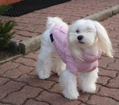 Oh Charlie Dog Sweater Precious