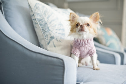 Oh Charlie Dog Sweater Precious
